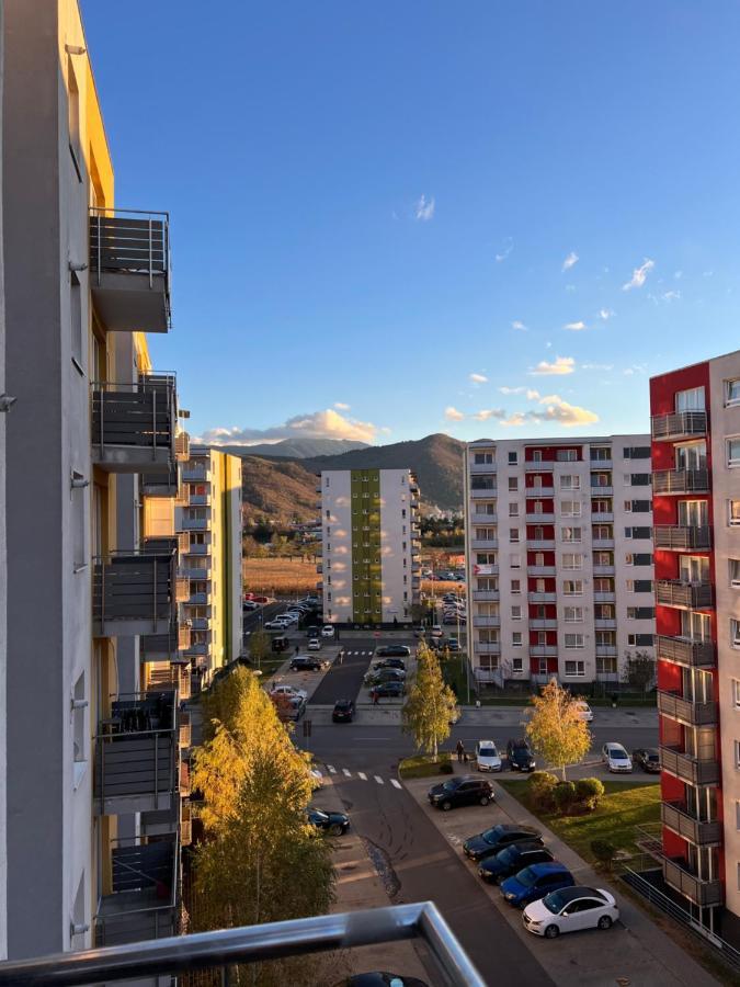 Ferienwohnung Moncler Family Brașov Exterior foto